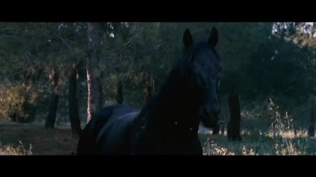 ⁣Black horses - Now we are free (Lisa Gerrard)