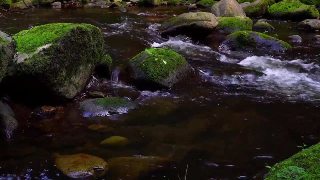 4K Ultra HD Waterfall short Video