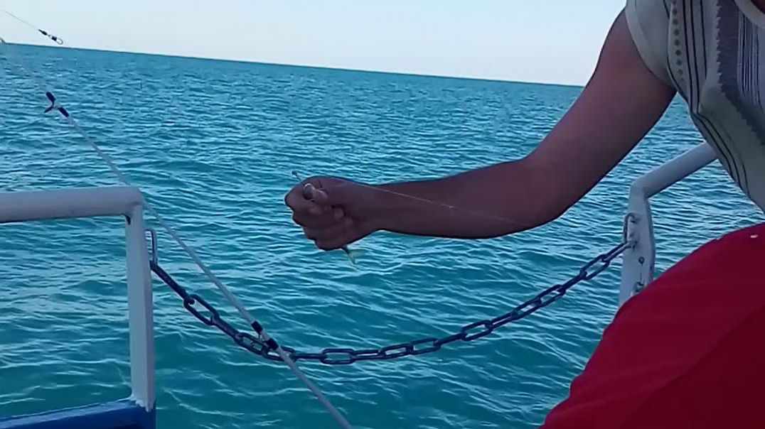 ⁣рыбалка на черном море 2
