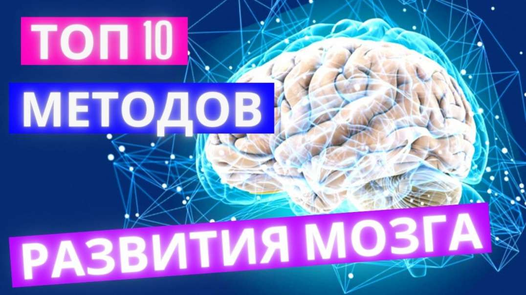 ТОП 10 самых эффективных способов развития мозга