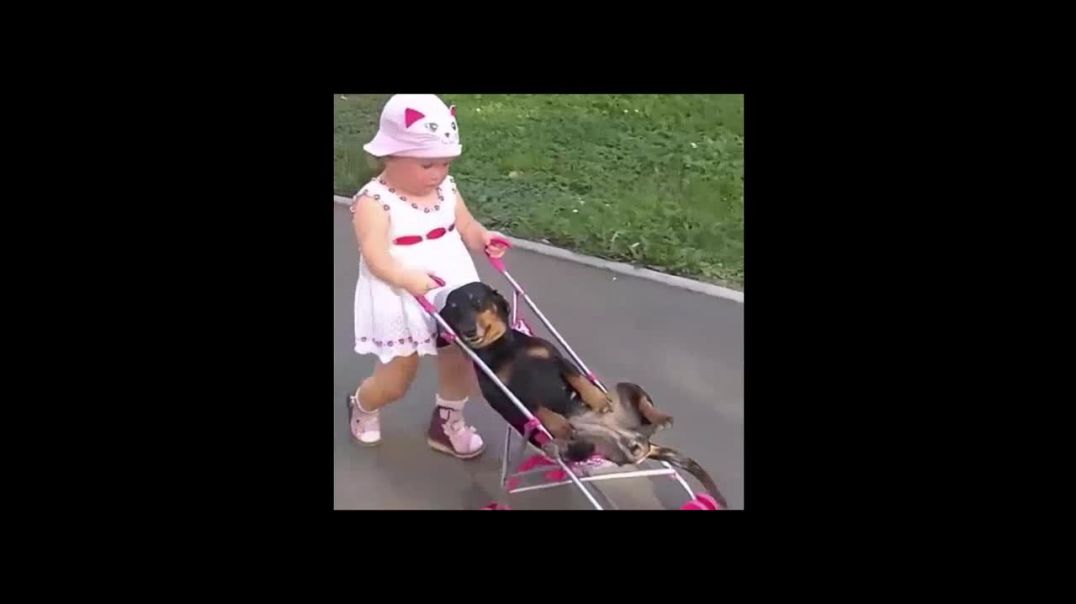 Дочка при деле и собака гуляет