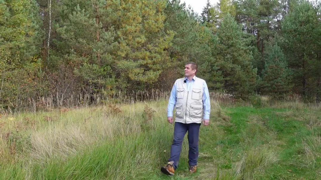 Теперь и в России можно выращивать свой лес
