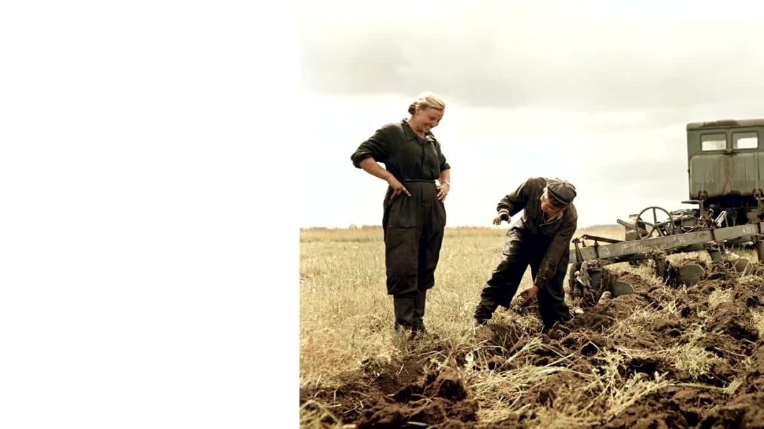 Почему Хрущев свернул сталинскую программу развития сельского хозяйства