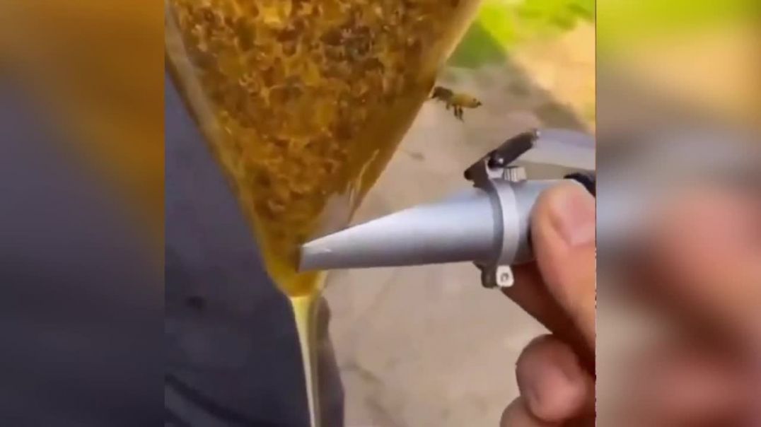 Проверка мёда на качество