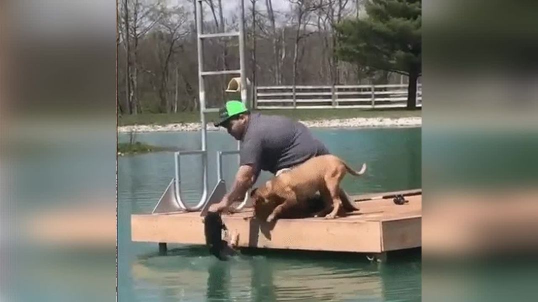 Пёс первый раз на рыбалке
