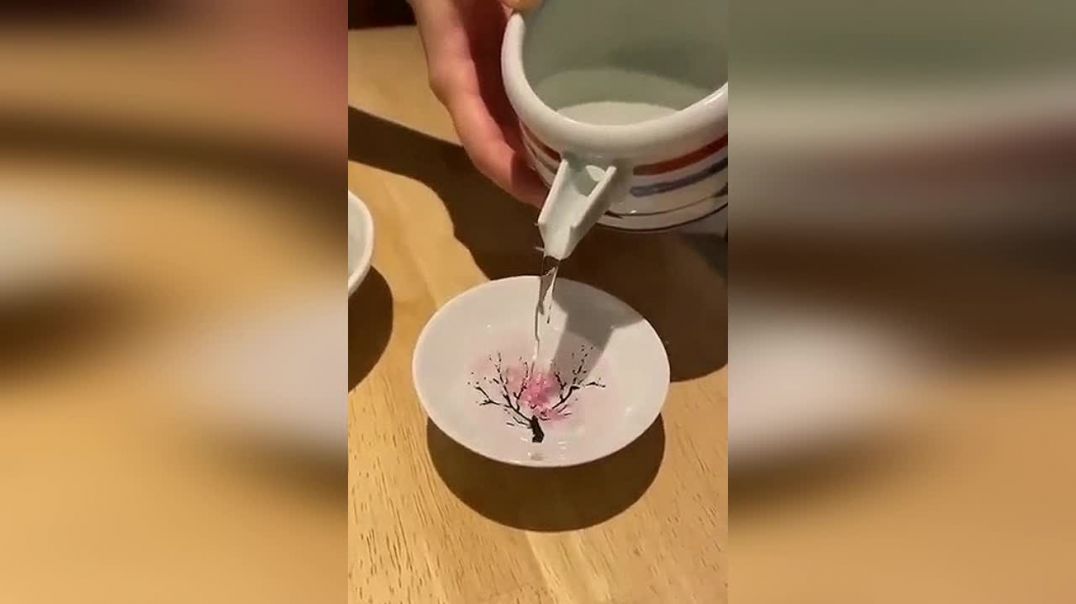 Цветёт сакура,в чайном блюдце