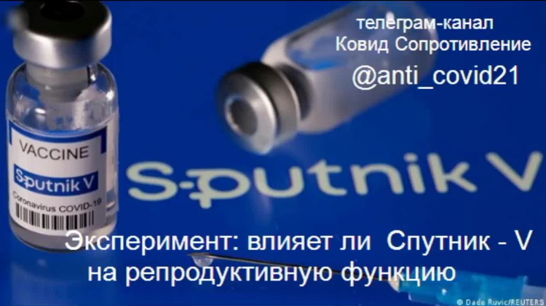 Эксперимент:  - влияет ли вакцина Спутник-V на репродуктивную функцию организма.