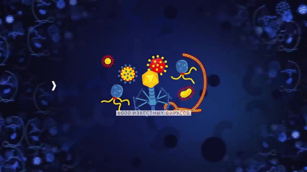 Вирусы виды, устройство и способы заражения клетки