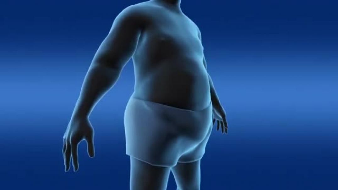 Программа Снижение веса