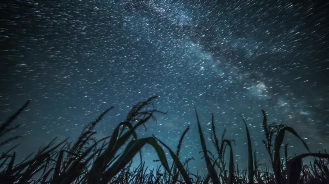 ⁣Night Sky Galaxy Above Grass Loop Free Background Videos
