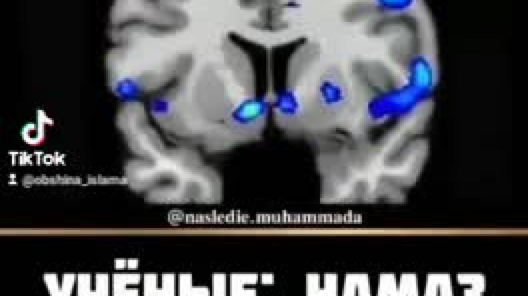 Учёные_Намаз развивает мозг