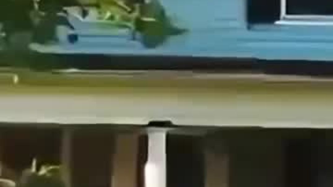 Безмолвное оружие для тихих войн