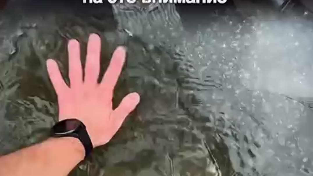 Важная клетка