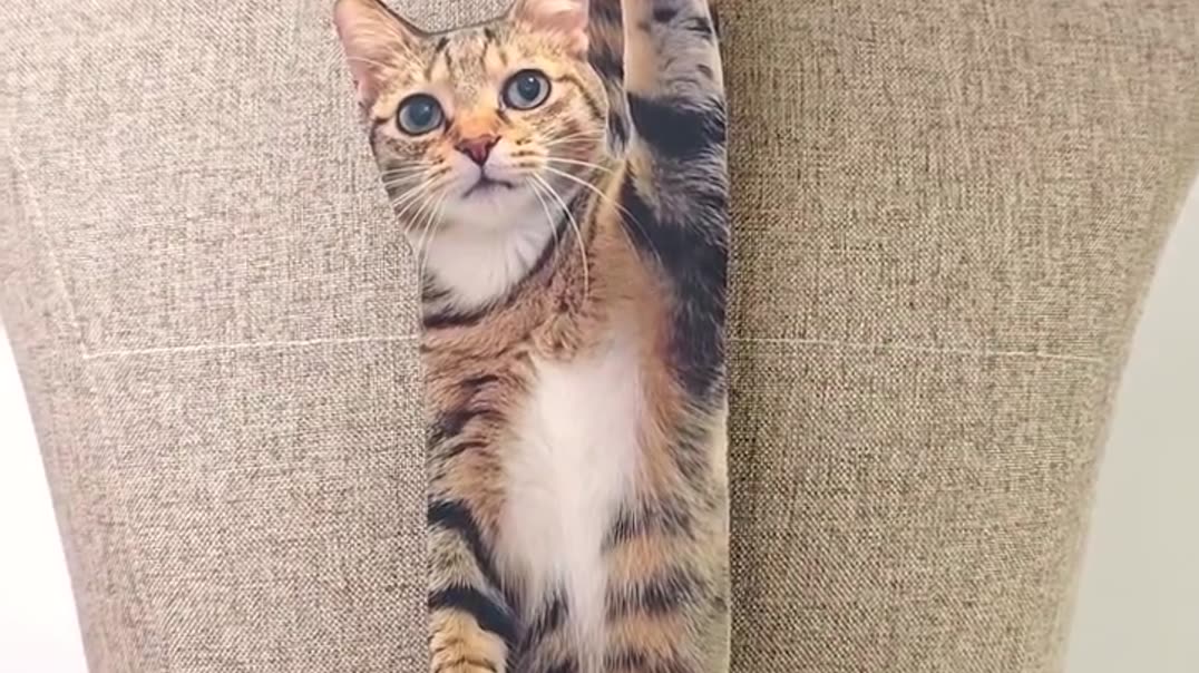 ⁣Самый стильный аксессуар сезона: галстук, который смотрит прямо в душу! 🐈👔