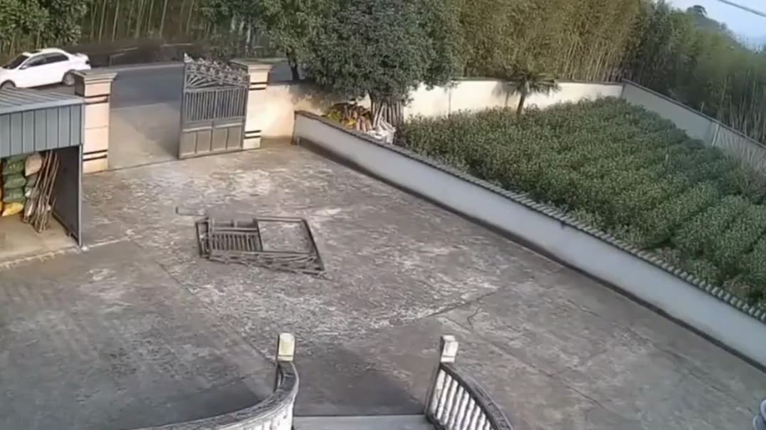 💥 Дикий кабан на полном ходу сносит тяжелые ворота во дворе! 🚪💨