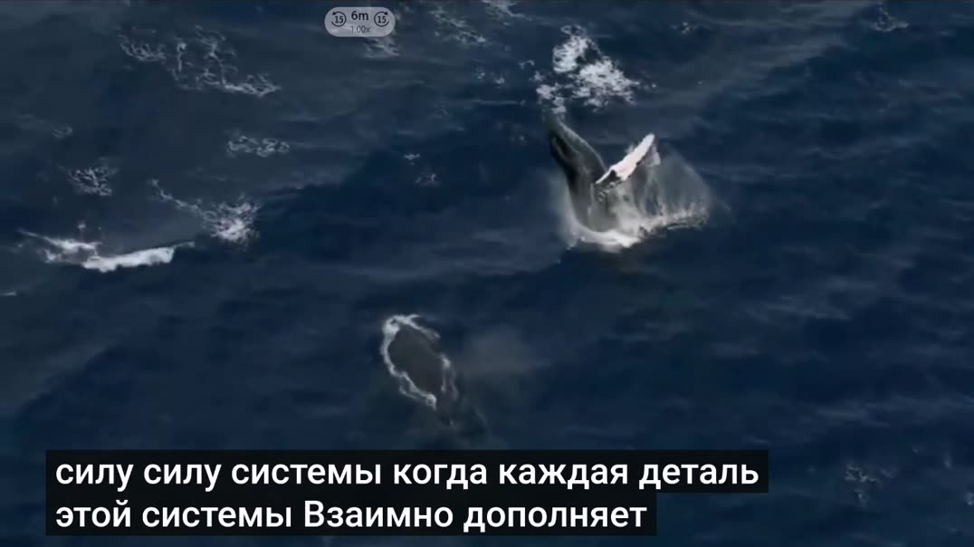 Суверен - Статус Живого Человека