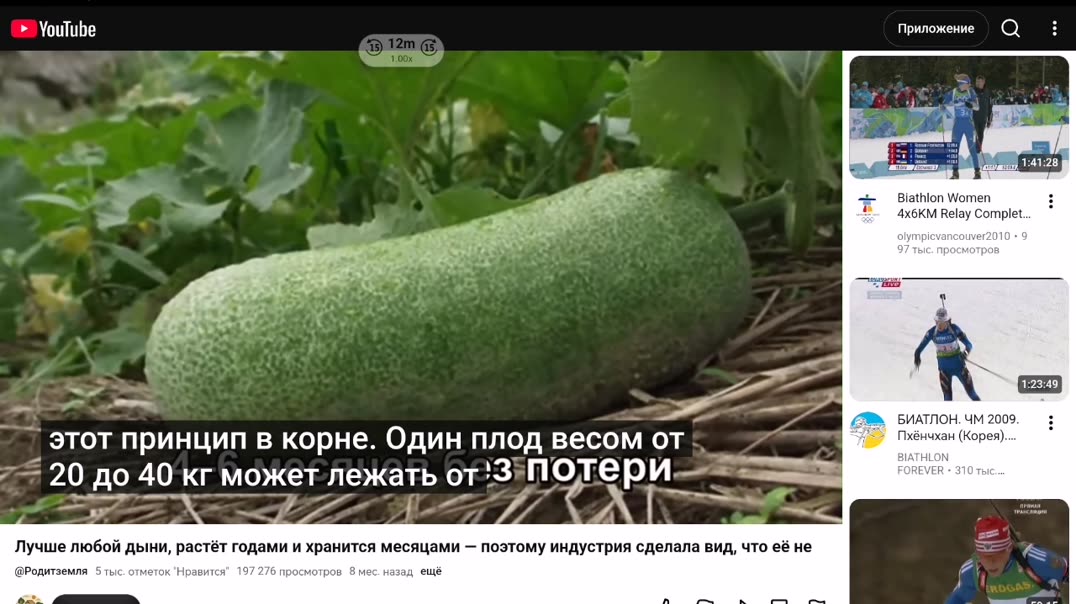 Зимняя восковая дыня