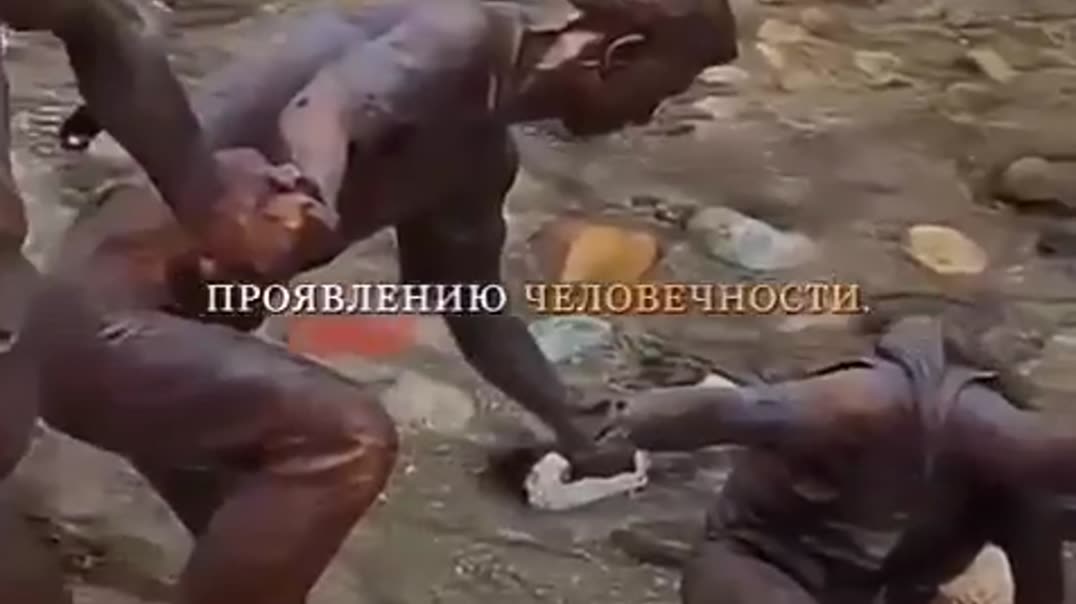 Человеческая доброта