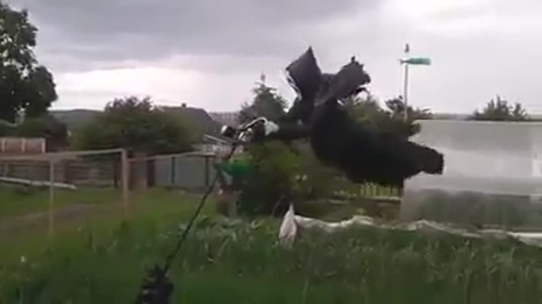 Жуткое пугало в маске Призрака на ветру 👻🌾