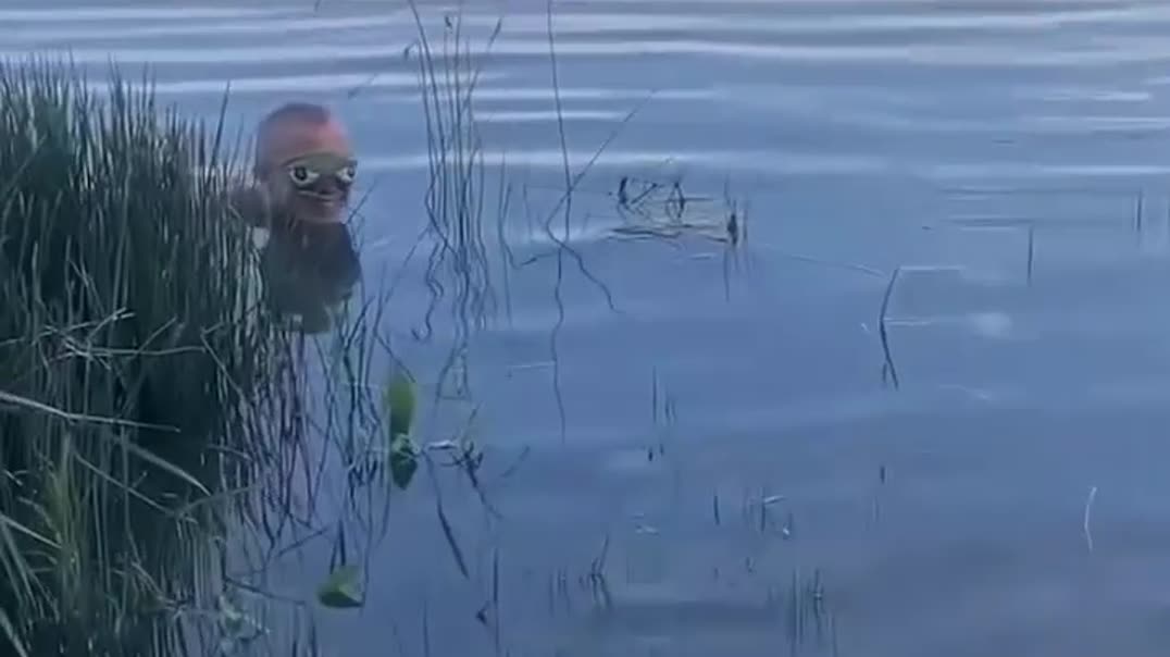 Неожиданная встреча у водоема с эффектом неожиданности 🌊😂