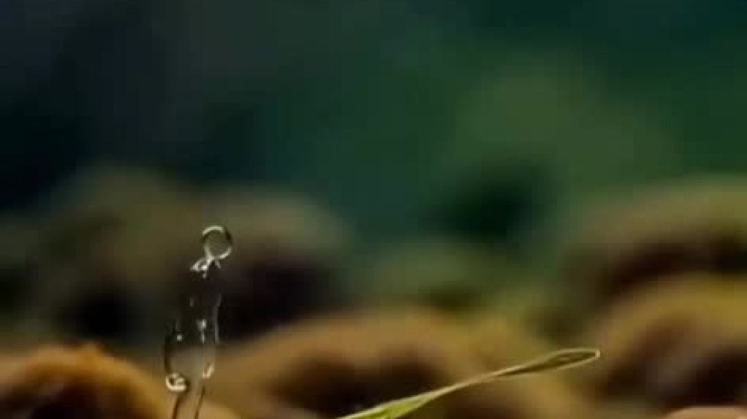 ЗЛО И ДОБРО