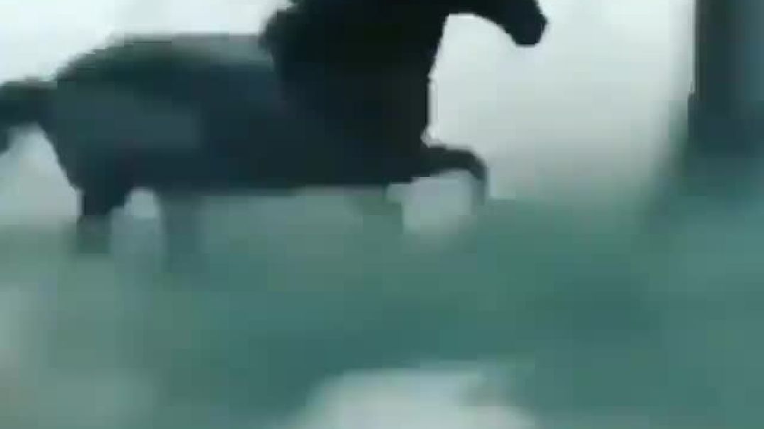 ДУША