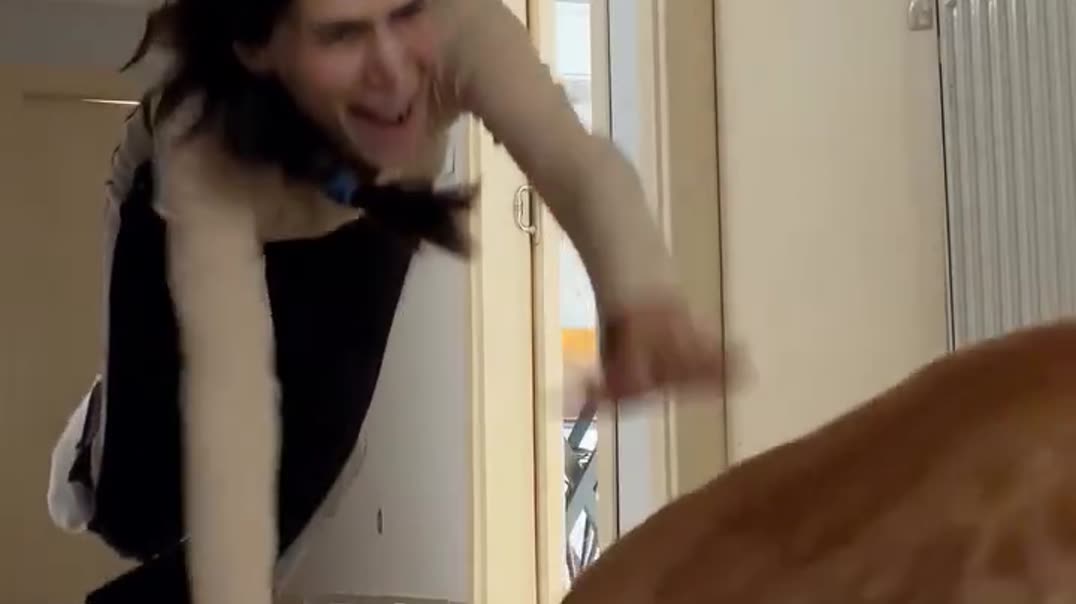 🍞 Кот яростно защищает от хозяйки! 🏃‍♀️💨