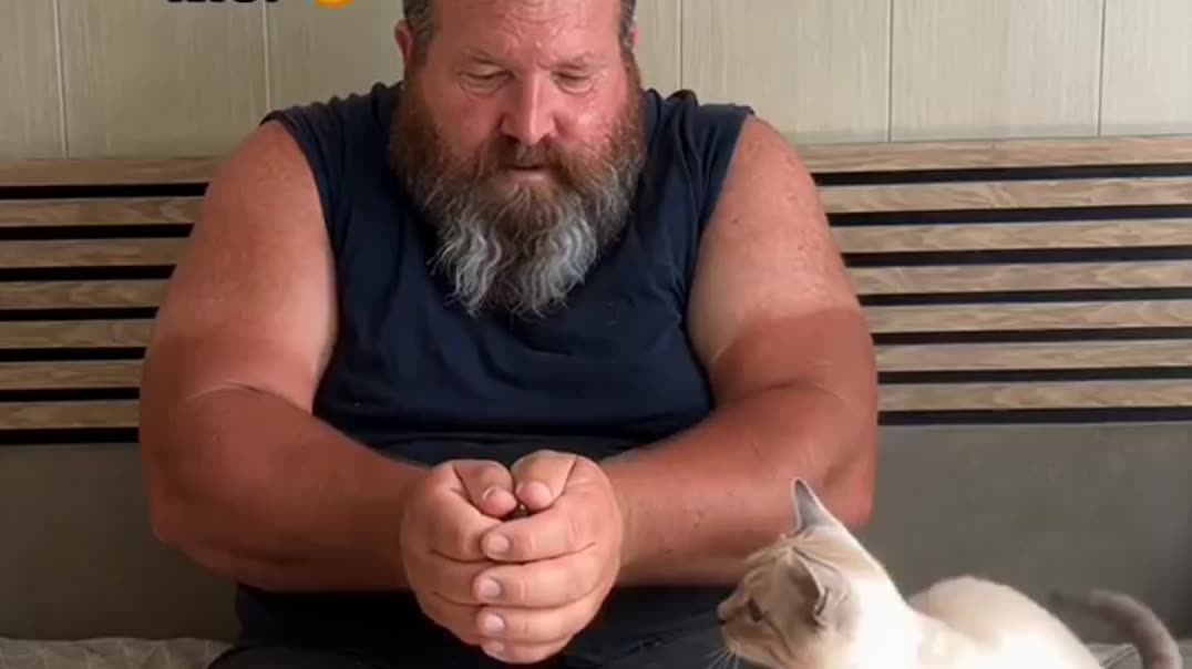 Покупка игрушек для кота 🐱🛍️