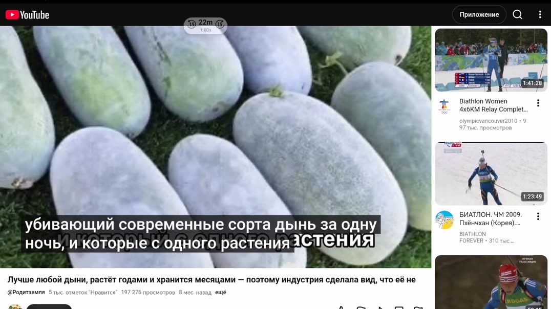 Зимняя восковая дыня