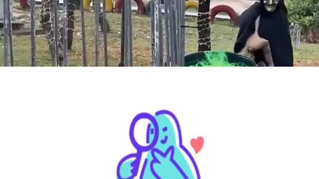Юмор