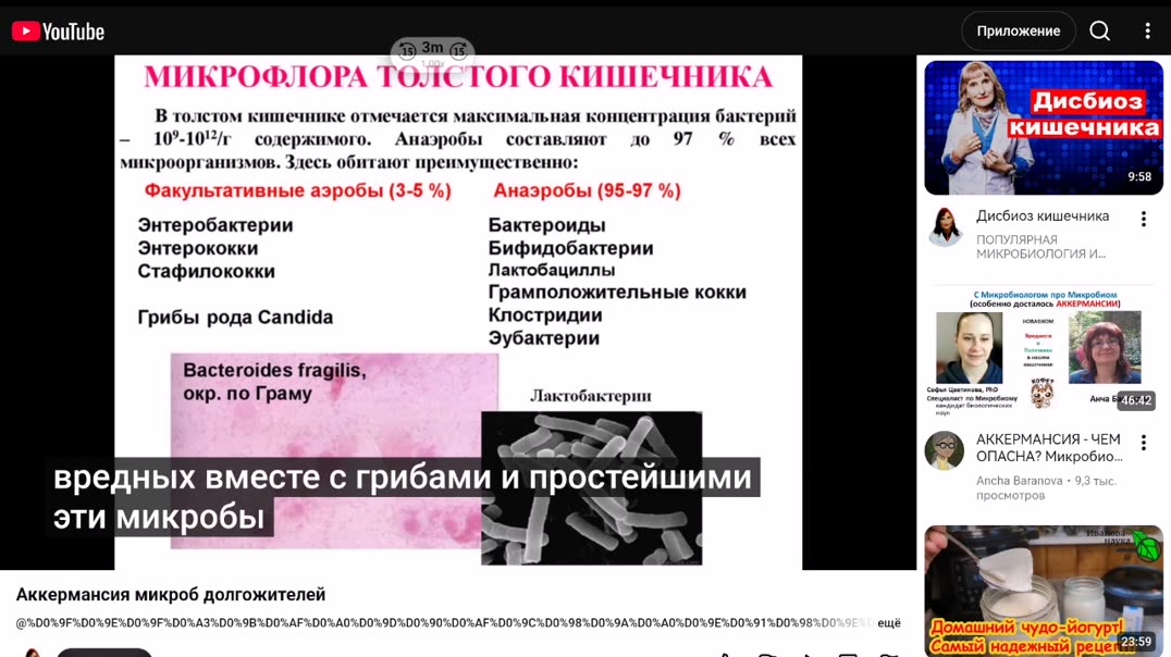 ⁣Аккермансия бактерии долгожителей