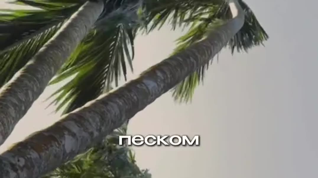 Путешествие