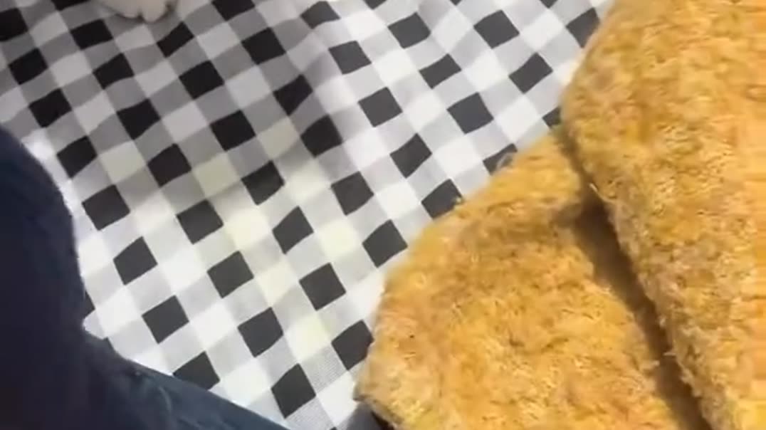 Юмор