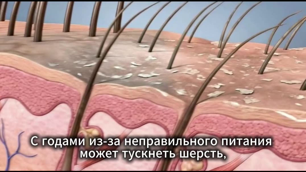Олигахит Зоо