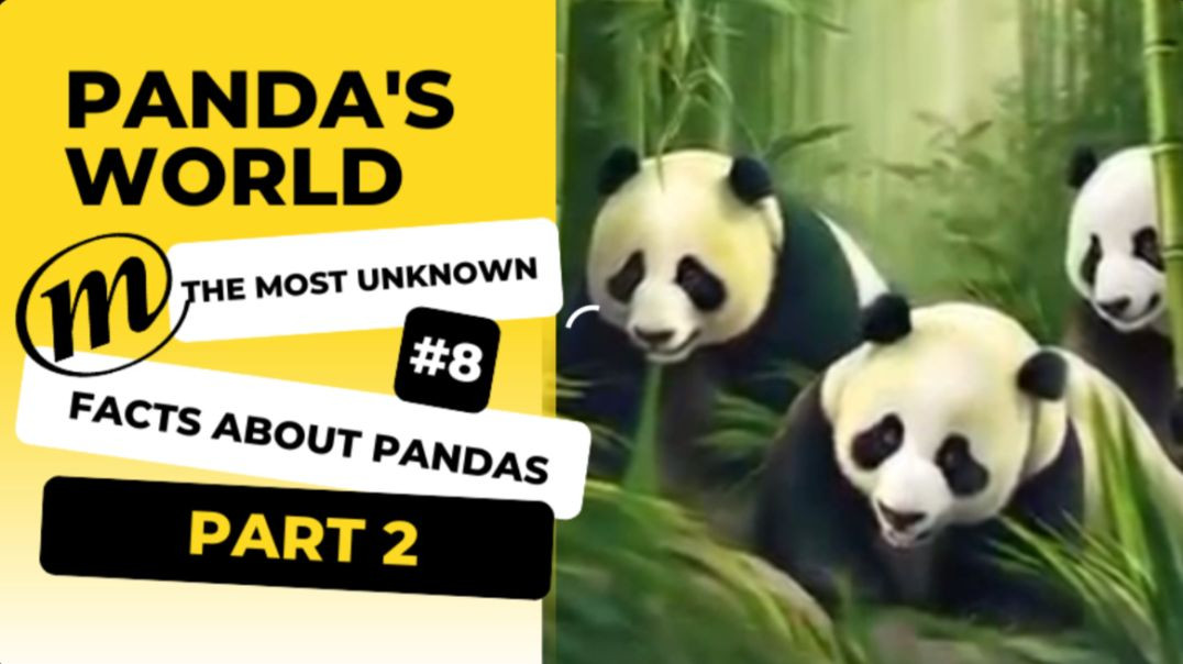 The most unknown facts about pandas. Part 2