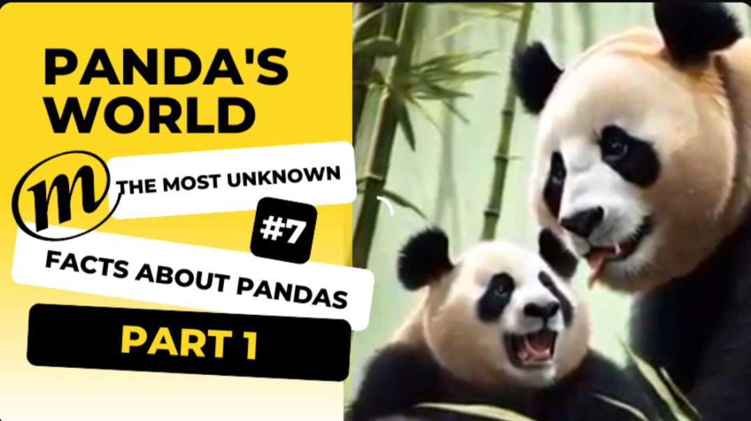 The most unknown facts about pandas, Part 1